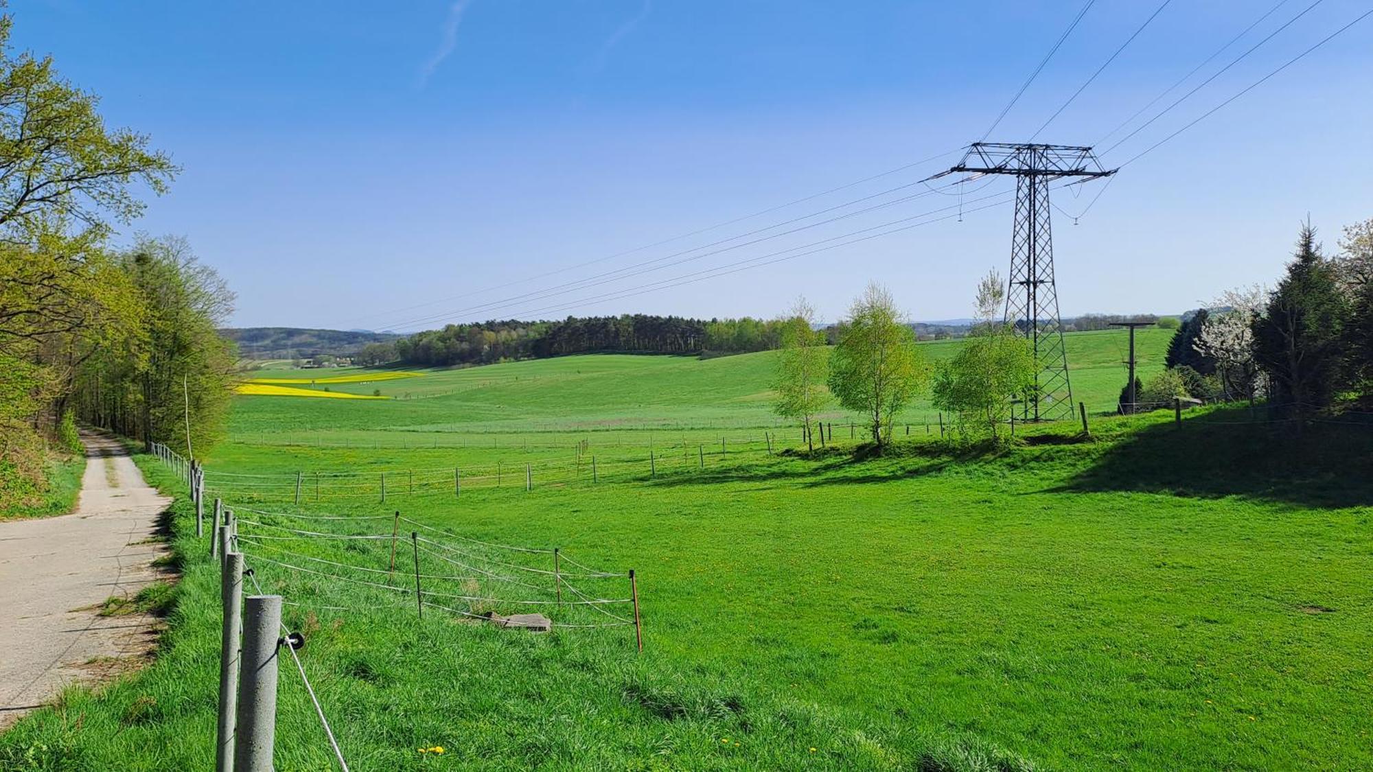 Ferienhaus „Zum Alten Froehlich“ ドレスデン エクステリア 写真